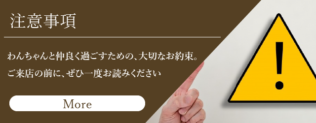 注意事項